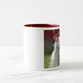2 Couleurs Là où est ma tasse de papa (Centre)