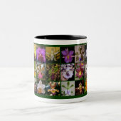 2 Couleurs La tasse de l'amant d'orchidée (Centre)