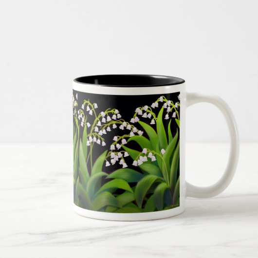 2 Couleurs La tasse du muguet (Droit)