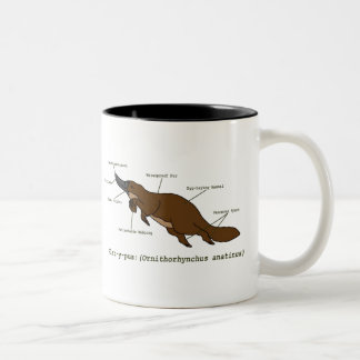2 Couleurs La tasse extraordinaire d'ornithorynque