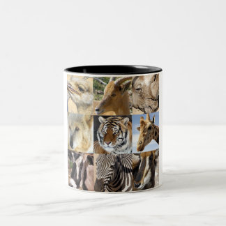 2 Couleurs L'animal sauvage fait face à la tasse