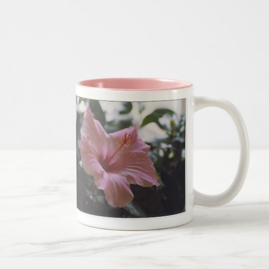 2 Couleurs Le jardin de Dieu - tasse (Droit)