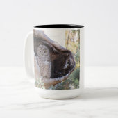 2 Couleurs Le Mexicain a repéré la tasse de hibou, (Devant gauche)