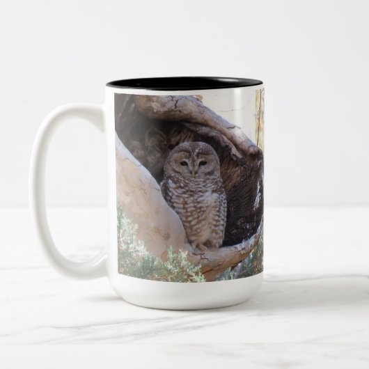 2 Couleurs Le Mexicain a repéré la tasse de hibou, (Gauche)