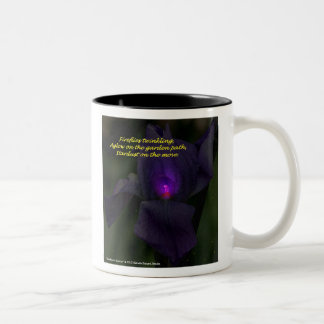 2 Couleurs Lucioles et tasse de chimères