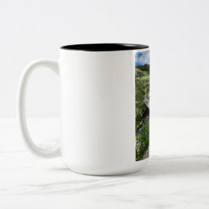 2 Couleurs Magnifique tasse de café bicolore au paysage natur