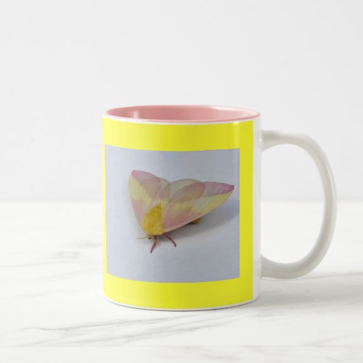 2 Couleurs Mite unique - tasse (Droit)