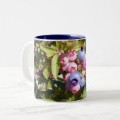 2 Couleurs Myrtilles 1 tasse (Devant gauche)