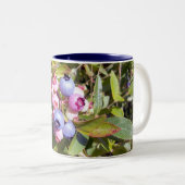 2 Couleurs Myrtilles 1 tasse (Devant droit)