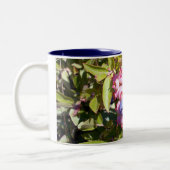 2 Couleurs Myrtilles 1 tasse (Gauche)