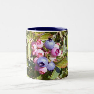 2 Couleurs Myrtilles 1 tasse