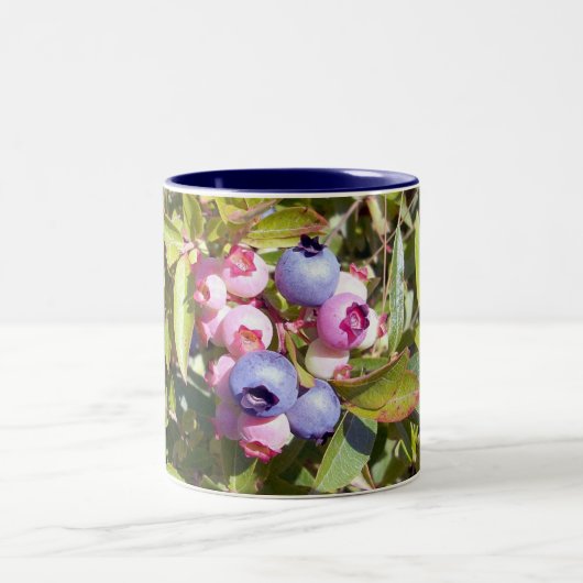 2 Couleurs Myrtilles 1 tasse (Centre)