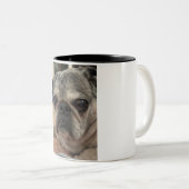 2 Couleurs otis le carlin sur une tasse (Devant droit)