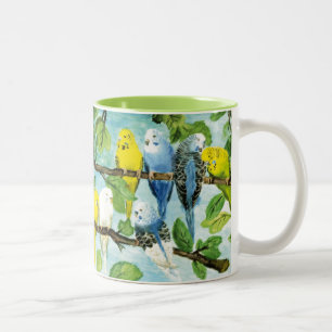 2 Couleurs Perruches colorées Tasse bicolore