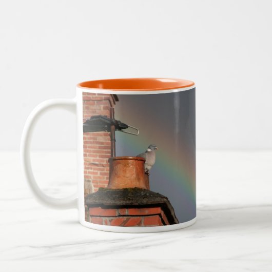 2 Couleurs Pigeon sur le pot avec la tasse d'arc-en-ciel (Gauche)
