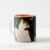 2 Couleurs "Priscilla" la tasse de chat de calicot (Devant gauche)