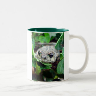 2 Couleurs Ribbit, tasse à deux tons de Ribbit