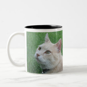 2 Couleurs Romeo la tasse de café de chat