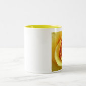 2 Couleurs Rose jaune de tasse du Texas (Centre)
