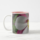 2 Couleurs Rose/pourpre floraux de tasse (Gauche)