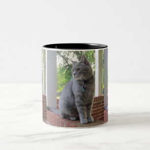 2 Couleurs Russ la tasse de chat