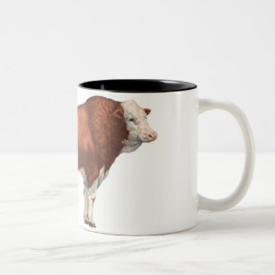 2 Couleurs Simmenthal Taureau de tasse de despote de boeuf