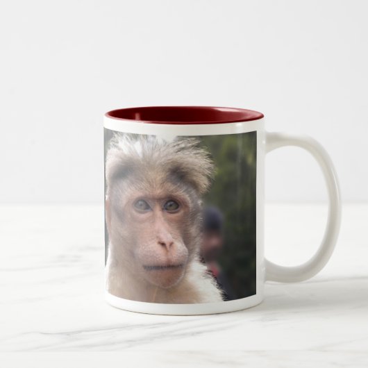 2 Couleurs Singe regardant la tasse (Droit)