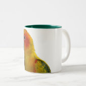 2 Couleurs Sun Conure tasse de 15 onces (Devant droit)