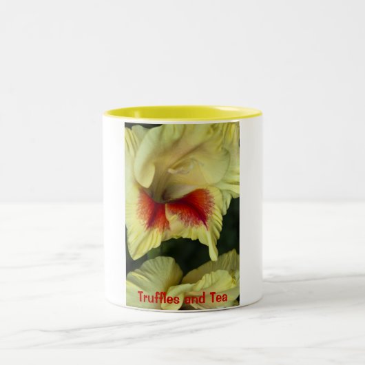 2 Couleurs Tasse (Centre)