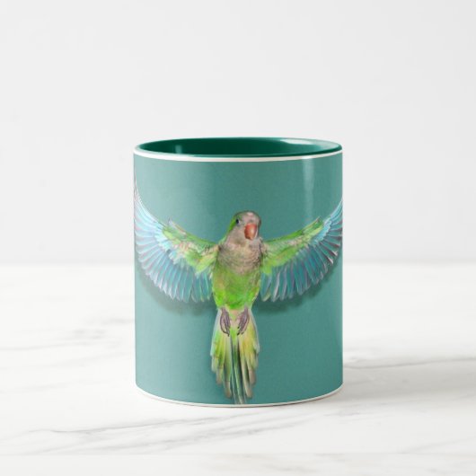 2 Couleurs Tasse 15oz de vol de quaker (Centre)