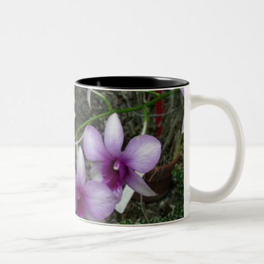 2 Couleurs Tasse 5 d'orchidée (Droit)