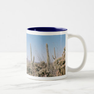 2 Couleurs Tasse à boire Désert panoramique de Sonoran Arizon