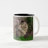 2 Couleurs Tasse à café avec chat tigré sauvage (Devant droit)