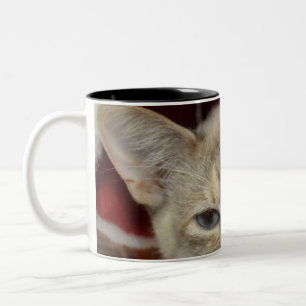 2 Couleurs Tasse à café avec un chat blanc dans un chapeau de