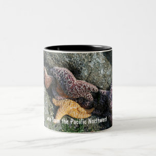 2 Couleurs Tasse : Amour d'étoiles de mer de PNW