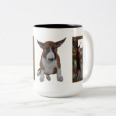 2 Couleurs Tasse anglaise de bull-terrier (Devant droit)