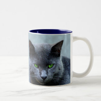 2 Couleurs Tasse aux yeux verts de chat