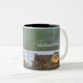 2 Couleurs Tasse avec photo de canard colvert (Devant droit)