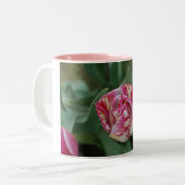 2 Couleurs Tasse avec une tulipe (Devant gauche)