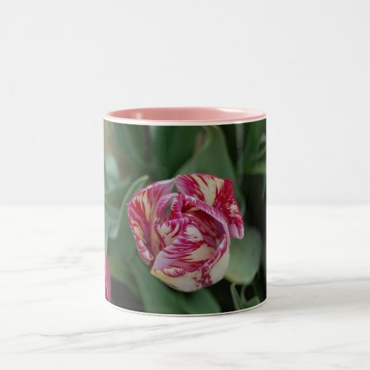 2 Couleurs Tasse avec une tulipe (Centre)