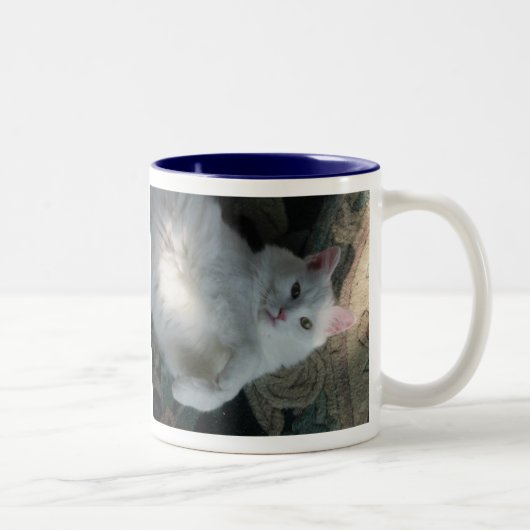 2 Couleurs Tasse blanche de chat, surprise de Kitty (Droit)