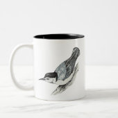 2 Couleurs Tasse blanche de sittelle de Breasted (Gauche)