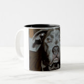 2 Couleurs Tasse Bouledogue Américain nez bleu (Devant gauche)