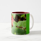 2 Couleurs tasse cardinale (Devant droit)