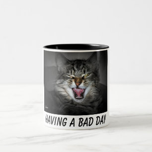 2 Couleurs Tasse Chat Félin Grognon