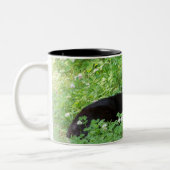 2 Couleurs Tasse Chat Noir (Gauche)
