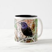 2 Couleurs Tasse commune de Grackle (Devant droit)