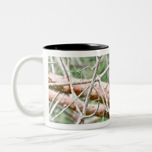 2 Couleurs Tasse commune de Grackle (Gauche)