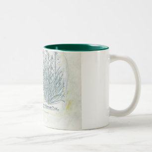 2 Couleurs tasse - copie botanique de deux tons