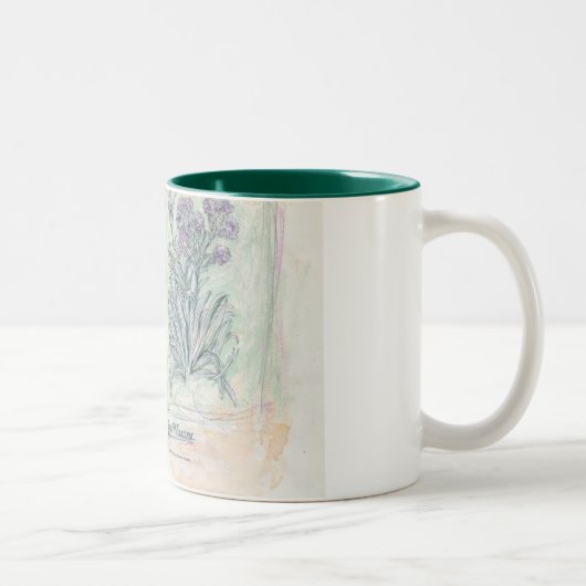 2 Couleurs tasse - copie botanique de deux tons (Droit)